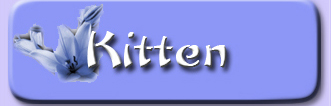 button_kitten