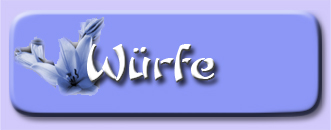 button_wuerfe